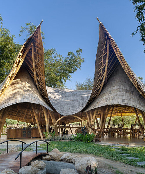 curved edges rise to form bull-like bamboo pavilion by chiangmai life architects in thailand