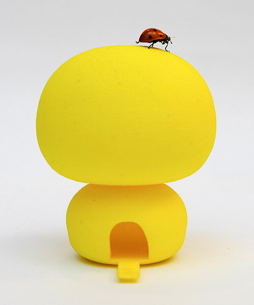 designboom courses open in july, from interaction to social ecological design