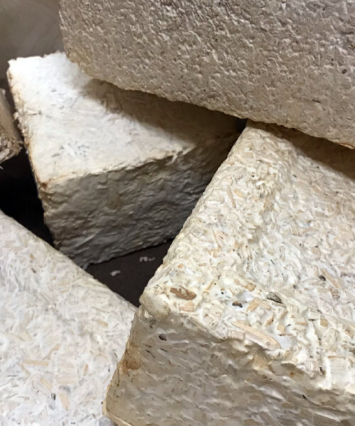 NASA to grow habitats in space for explorers using bricks made from mycelium
