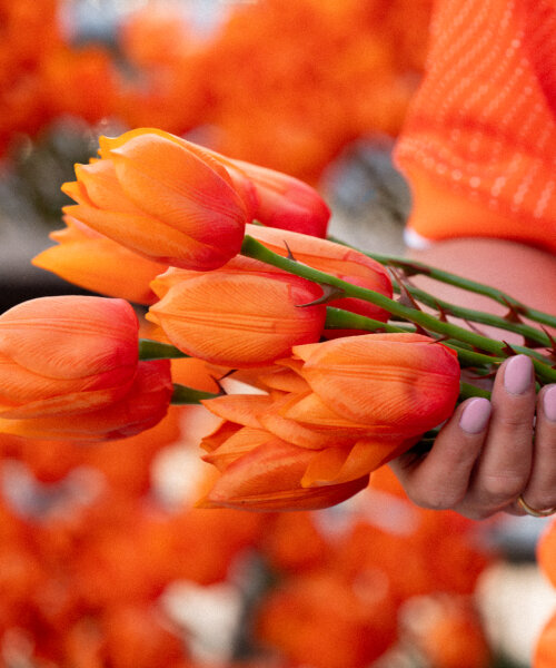 NIKE co-grows new breed of orange tulips with thorns in time for UEFA women’s euro 2025