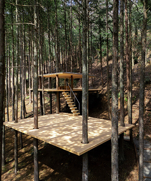 tree trunks pierce through elevated sauna shelter by DAICHI in japanese forest